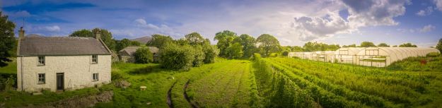 19693411_989281427914598_6518986241940043741_o